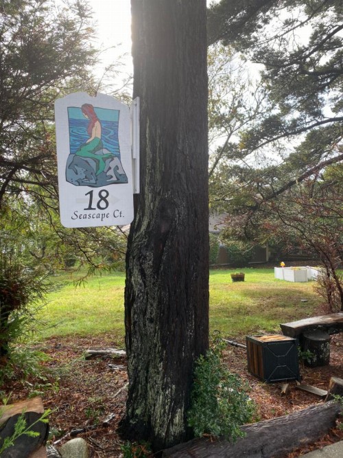 Mermaid's Muse Bed and Breakfast - image 50