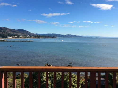 Mermaid's Muse Bed and Breakfast - image 9