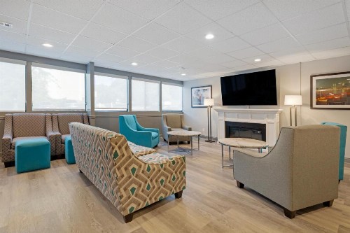 Comfort Inn & Suites Bwi Airport - image 15