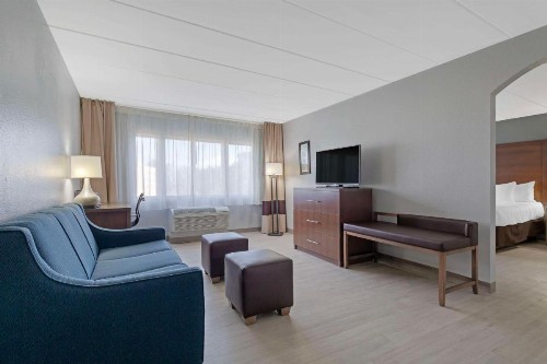 Comfort Inn & Suites Bwi Airport - image 16