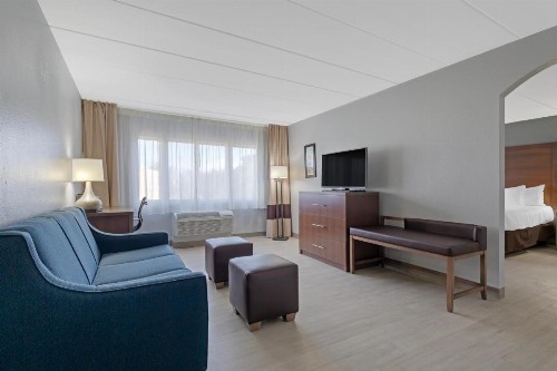 Comfort Inn & Suites Bwi Airport - image 17