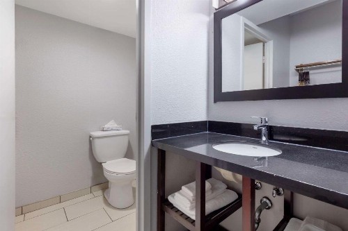 Comfort Inn & Suites Bwi Airport - image 18