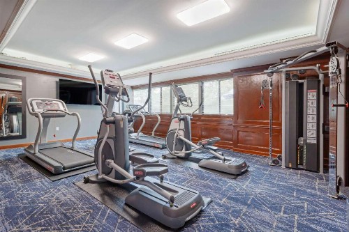 Comfort Inn & Suites Bwi Airport - image 19