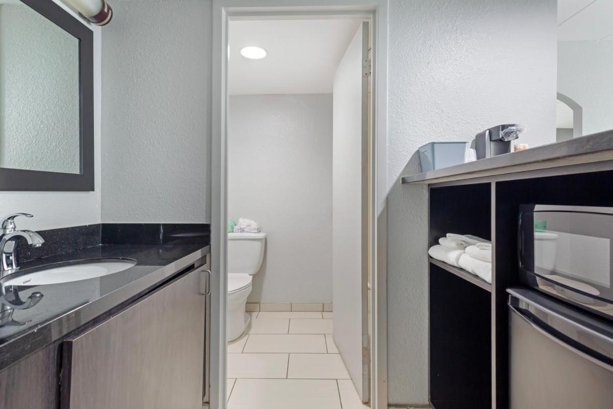 Comfort Inn & Suites Bwi Airport - image 2