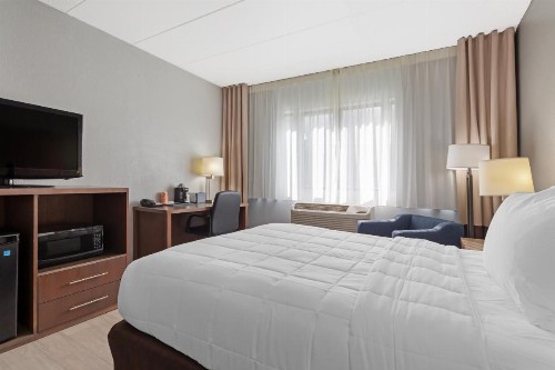 Comfort Inn & Suites Bwi Airport - image 3