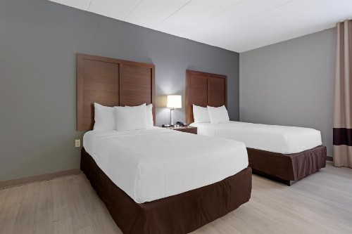 Comfort Inn & Suites Bwi Airport - image 31