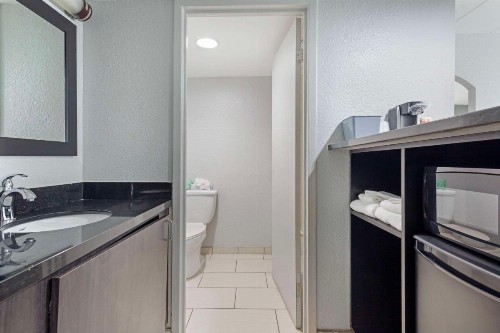Comfort Inn & Suites Bwi Airport - image 35