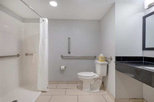 Comfort Inn & Suites Bwi Airport - image 38