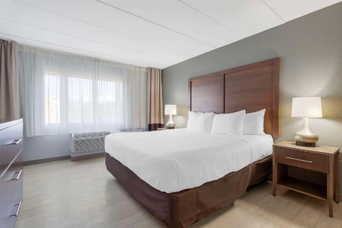 Comfort Inn & Suites Bwi Airport - image 4