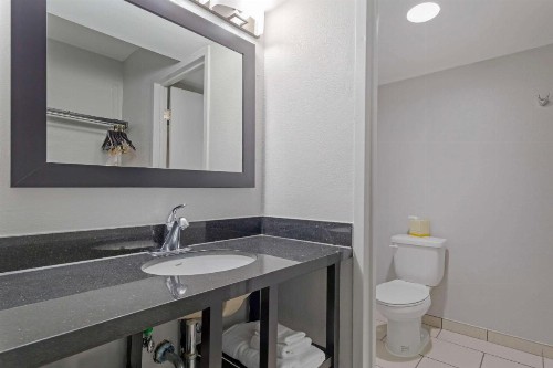 Comfort Inn & Suites Bwi Airport - image 41
