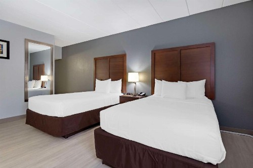 Comfort Inn & Suites Bwi Airport - image 43