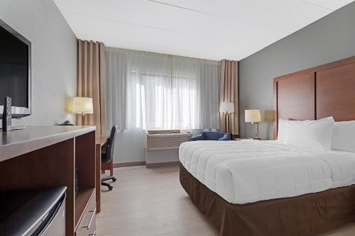 Comfort Inn & Suites Bwi Airport - image 44