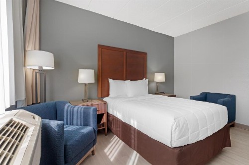 Comfort Inn & Suites Bwi Airport - image 46