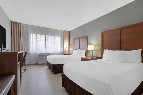 Comfort Inn & Suites Bwi Airport - image 5