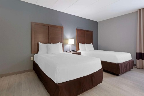 Comfort Inn & Suites Bwi Airport - image 6