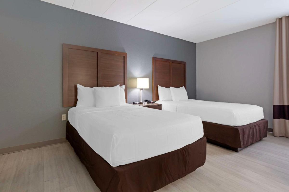 Comfort Inn & Suites Bwi Airport - image 6