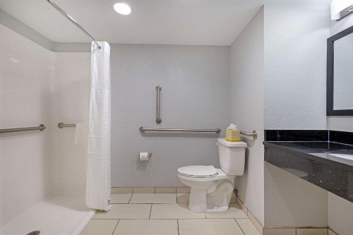 Comfort Inn & Suites Bwi Airport - image 7