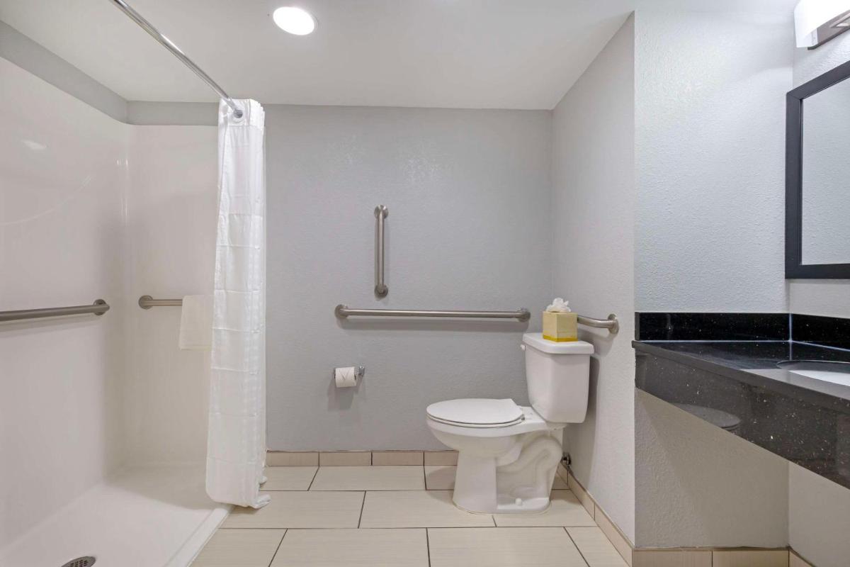 Comfort Inn & Suites Bwi Airport - image 7