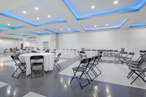 Comfort Inn & Suites Bwi Airport - image 9
