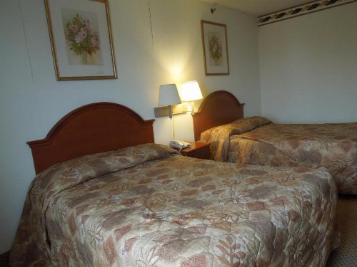 Red Carpet Inn Brooklyn - image 3