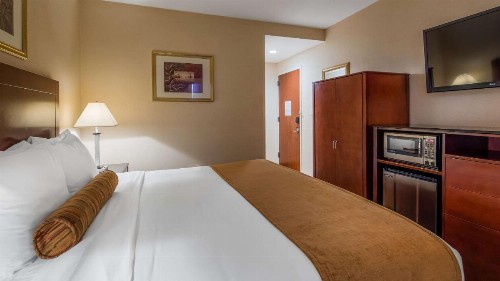 Best Western PLUS Arena Hotel - image 2