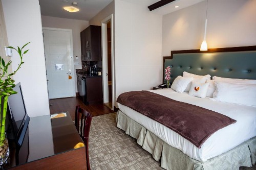 Condor Hotel Brooklyn - image 28