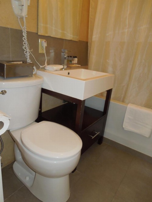 Pointe Plaza Hotel - image 12