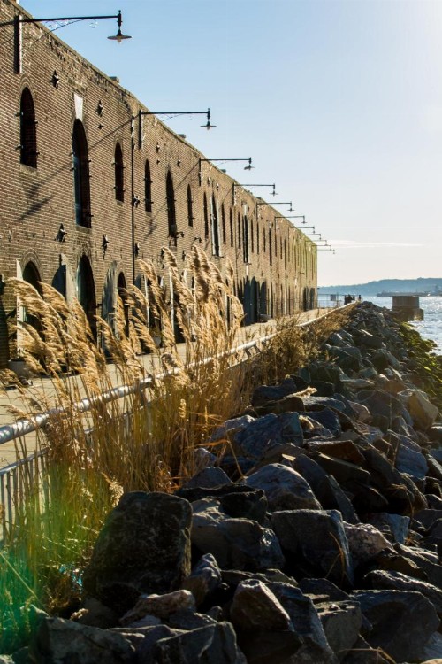 The LOOK Hotel Red Hook an Ascend Hotel Collection Member - image 27