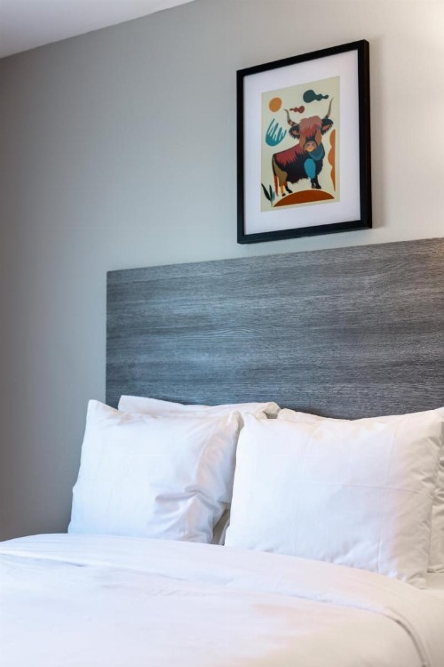 The LOOK Hotel Red Hook an Ascend Hotel Collection Member - image 30