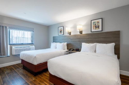 The LOOK Hotel Red Hook an Ascend Hotel Collection Member - image 32