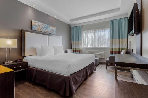 Best Western Plus Brooklyn Bay Hotel - image 10