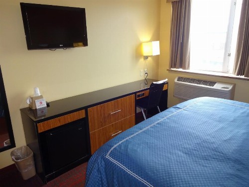 Hotel Bliss - Brooklyn - image 12