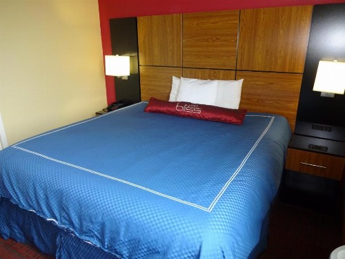 Hotel Bliss - Brooklyn - image 16