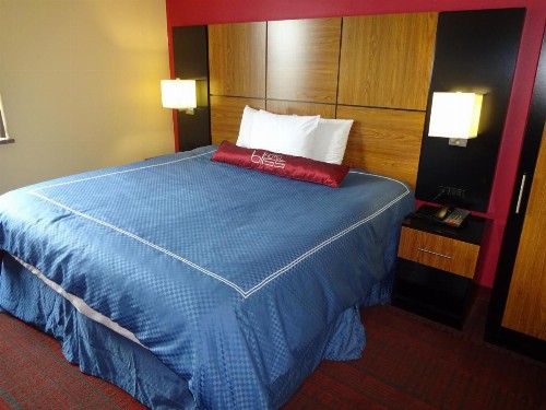 Hotel Bliss - Brooklyn - image 3