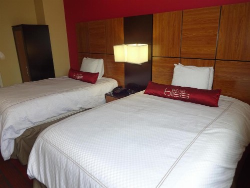 Hotel Bliss - Brooklyn - image 5