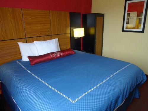 Hotel Bliss - Brooklyn - image 8