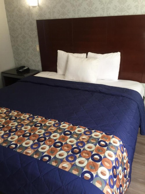 Atlantic Motor Inn - image 17