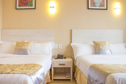 Phoenix Hotel - image 21