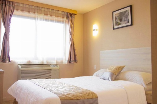 Phoenix Hotel - image 23
