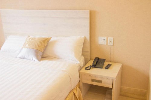 Phoenix Hotel - image 3
