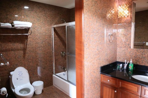 Phoenix Hotel - image 35