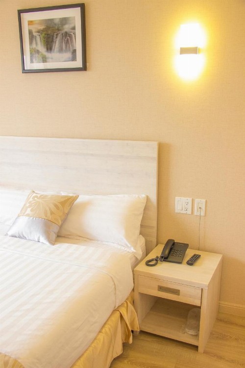 Phoenix Hotel - image 5