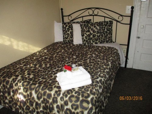 Neptune Hotel - image 2