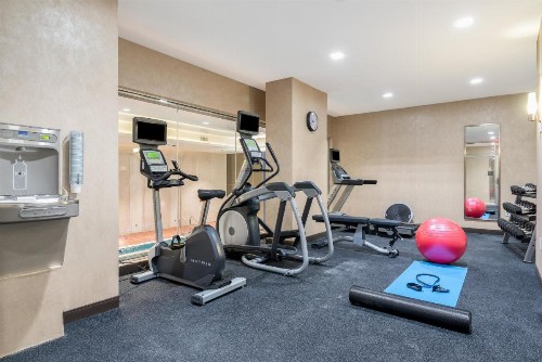 Holiday Inn Brooklyn Downtown an IHG Hotel - image 19