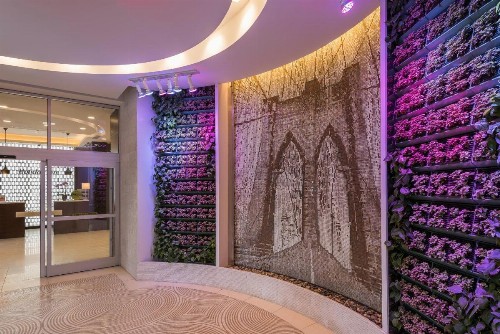 Holiday Inn Brooklyn Downtown an IHG Hotel - image 21