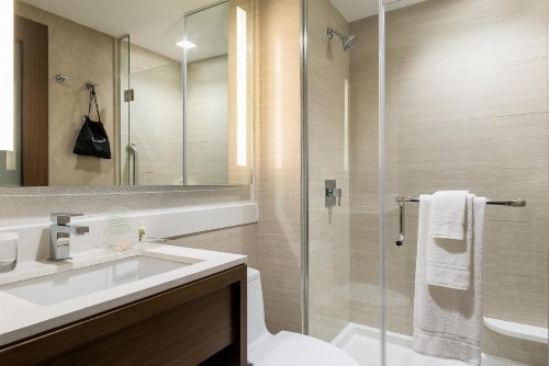 Holiday Inn Brooklyn Downtown an IHG Hotel - image 43
