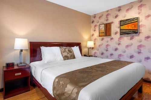 The L Hotel Ascend Hotel Collection - image 13