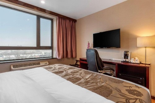 The L Hotel Ascend Hotel Collection - image 26