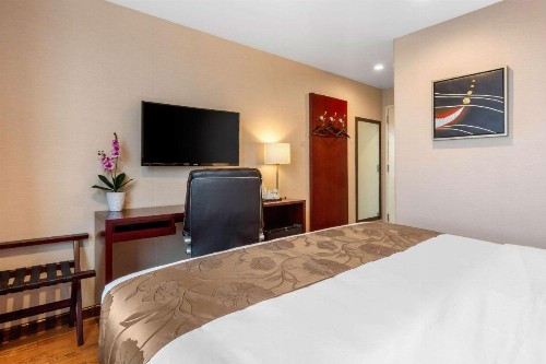 The L Hotel Ascend Hotel Collection - image 28