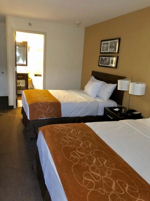 The Vue Inn Brooklyn - image 6